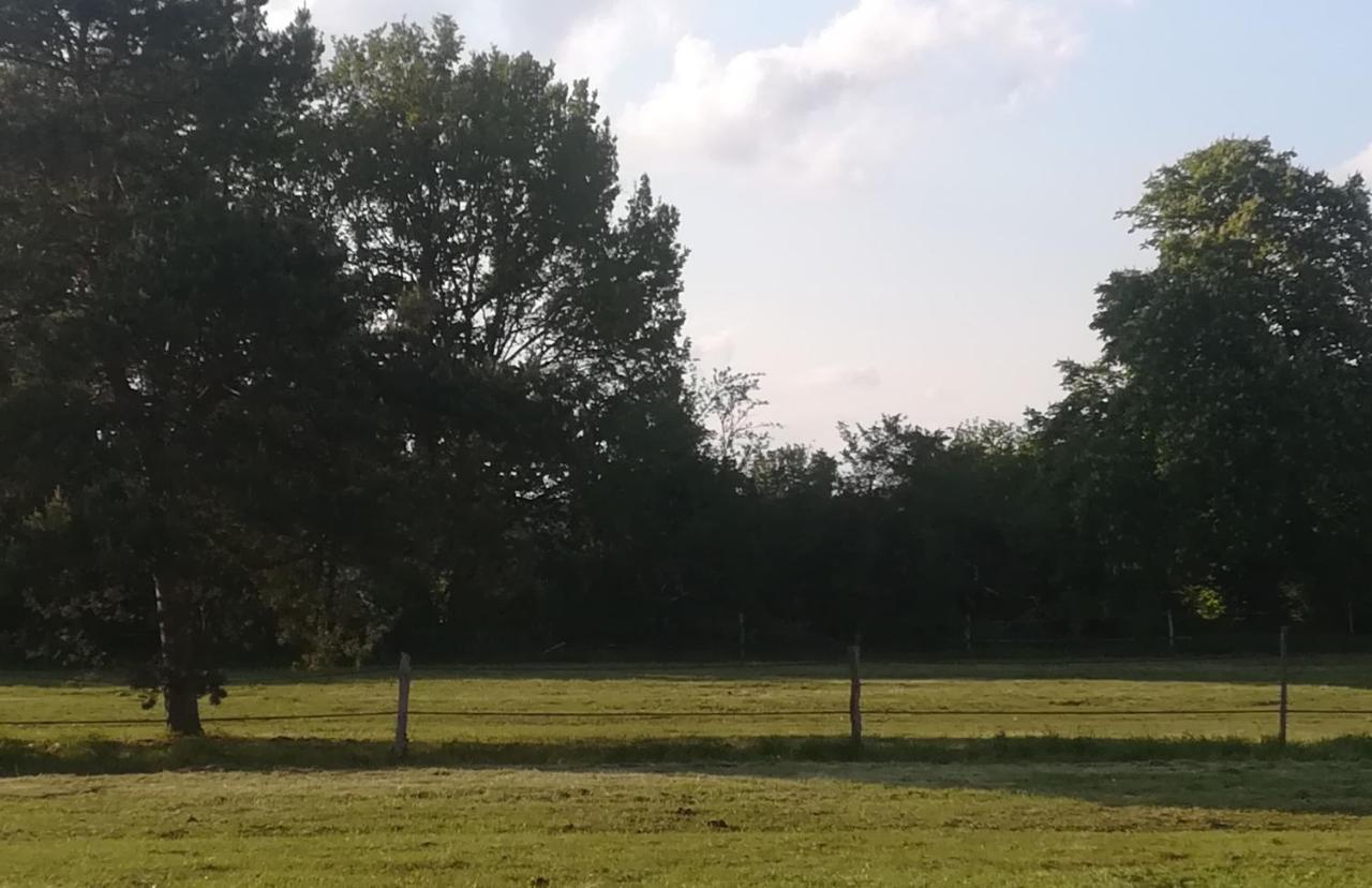 Villa Les Pres Du Petit Morlu - Proche Beauval à Saint-Romain-sur-Cher Extérieur photo