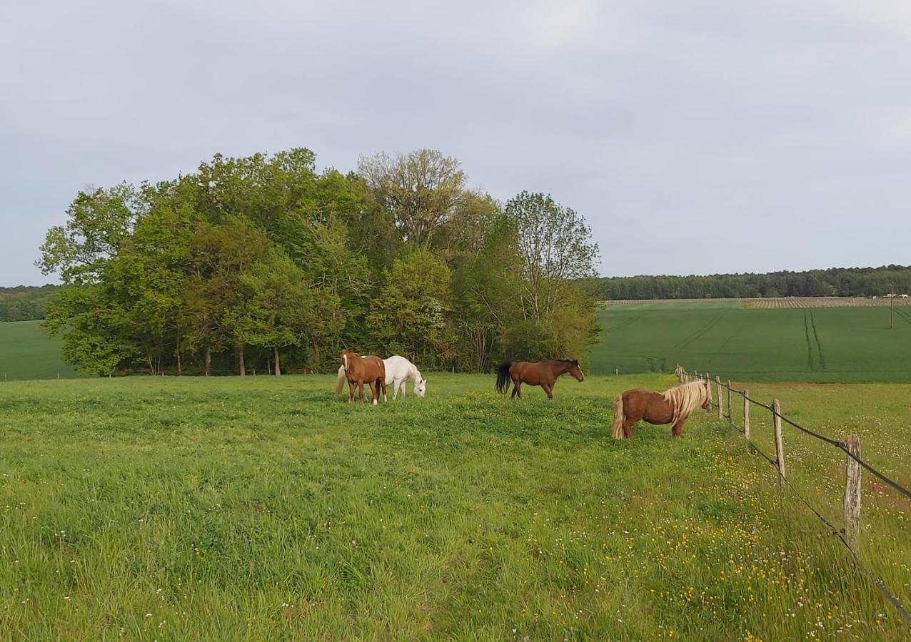 Villa Les Pres Du Petit Morlu - Proche Beauval à Saint-Romain-sur-Cher Extérieur photo