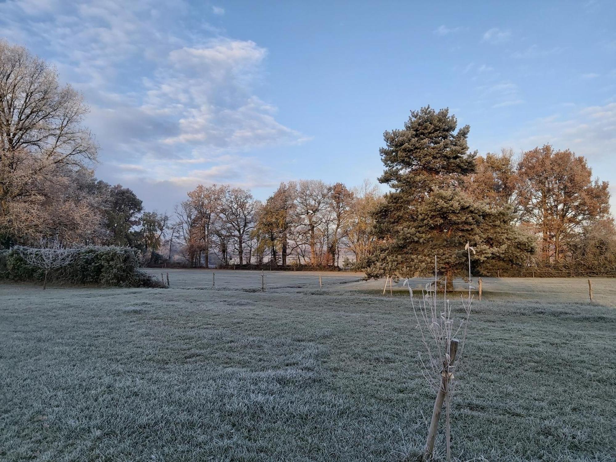 Villa Les Pres Du Petit Morlu - Proche Beauval à Saint-Romain-sur-Cher Extérieur photo